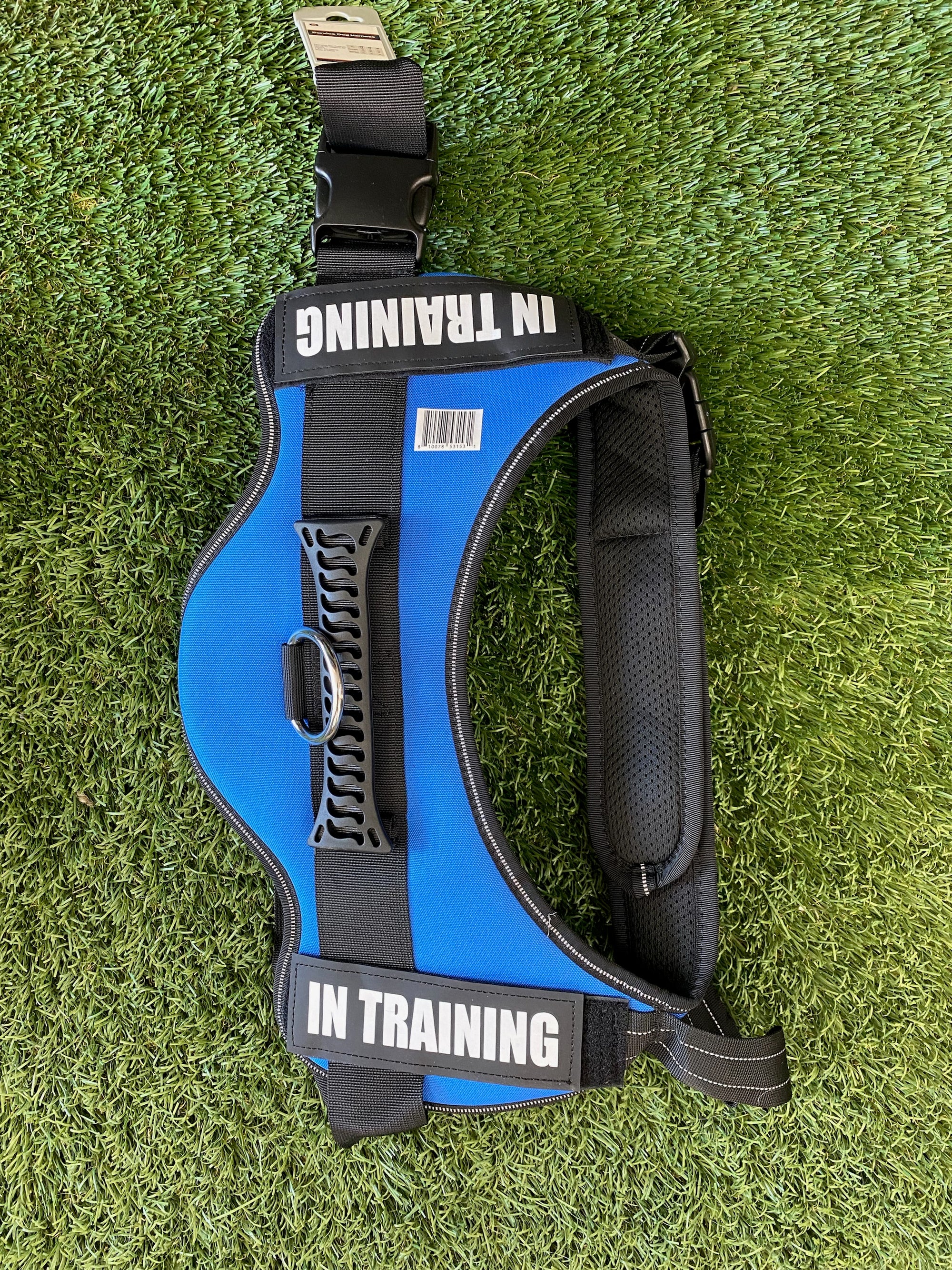 In-Training Dog Harness