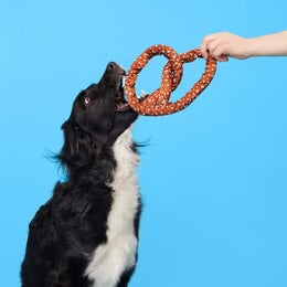 BARK Pretzel Plush Dog Toy
