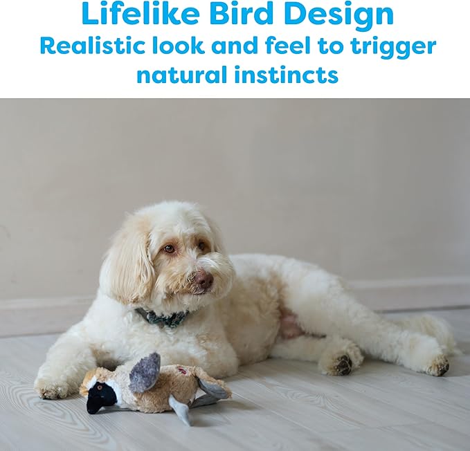 Spot 12in Assorted Realistic Bird Calls Toy
