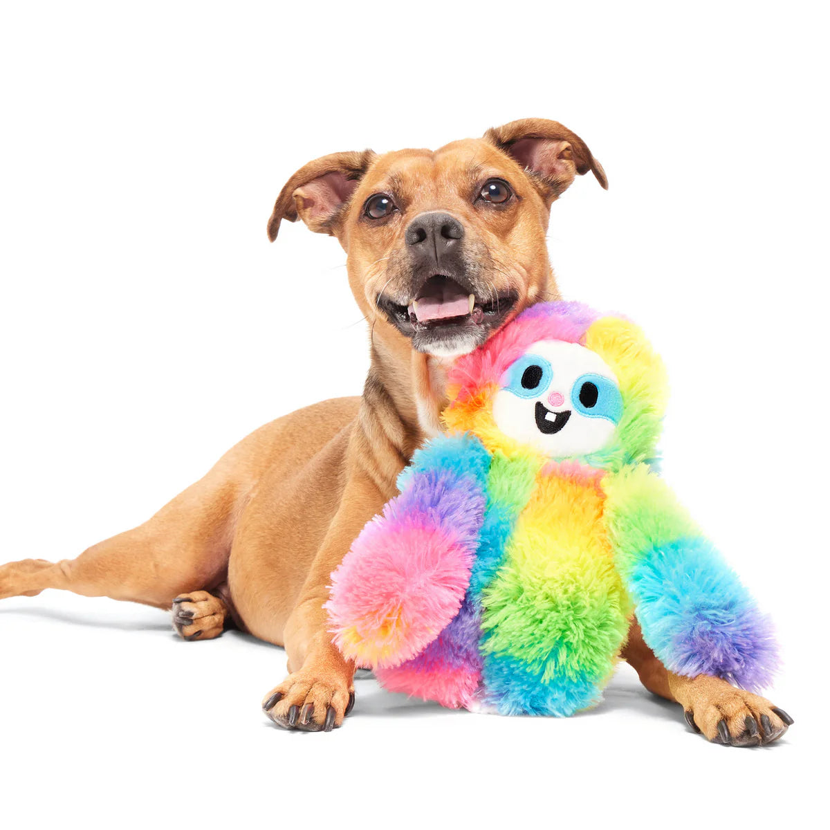 BARK Good Vibes Gary Plush Rainbow Sloth