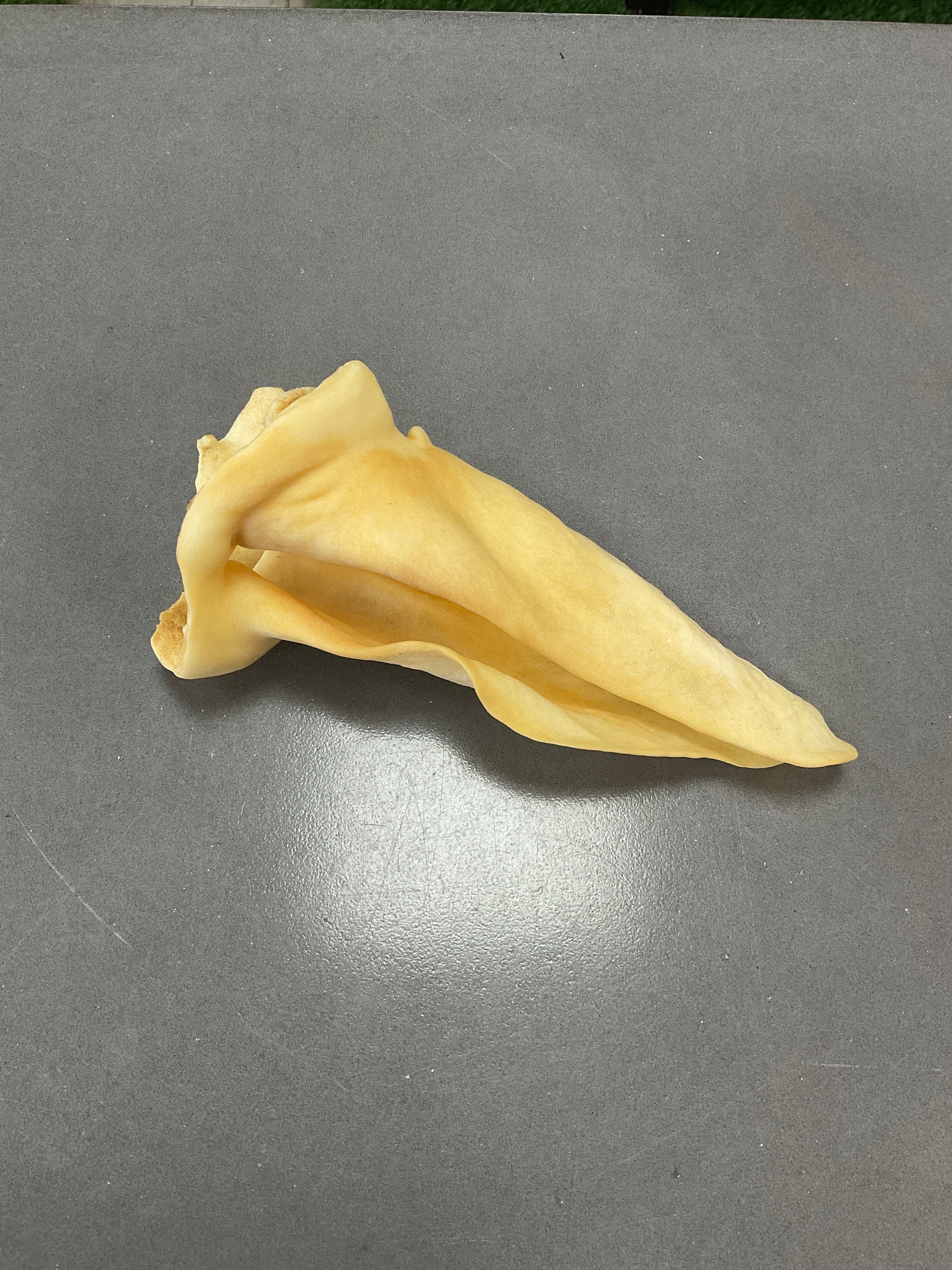 Cow Ear