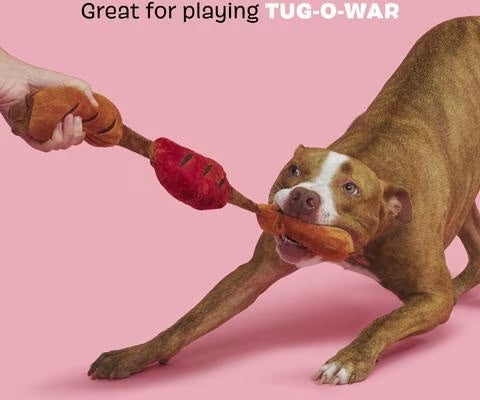 BARK Lickin’ Links Plush Sausage Dog Toy