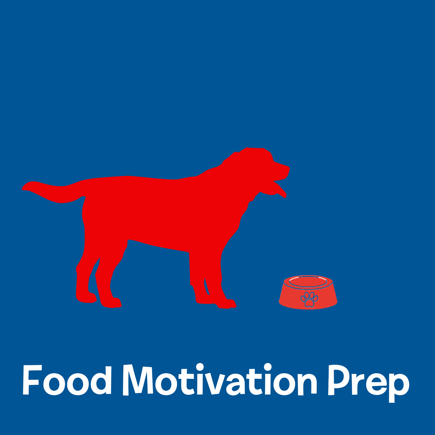 Motivate your Puppy