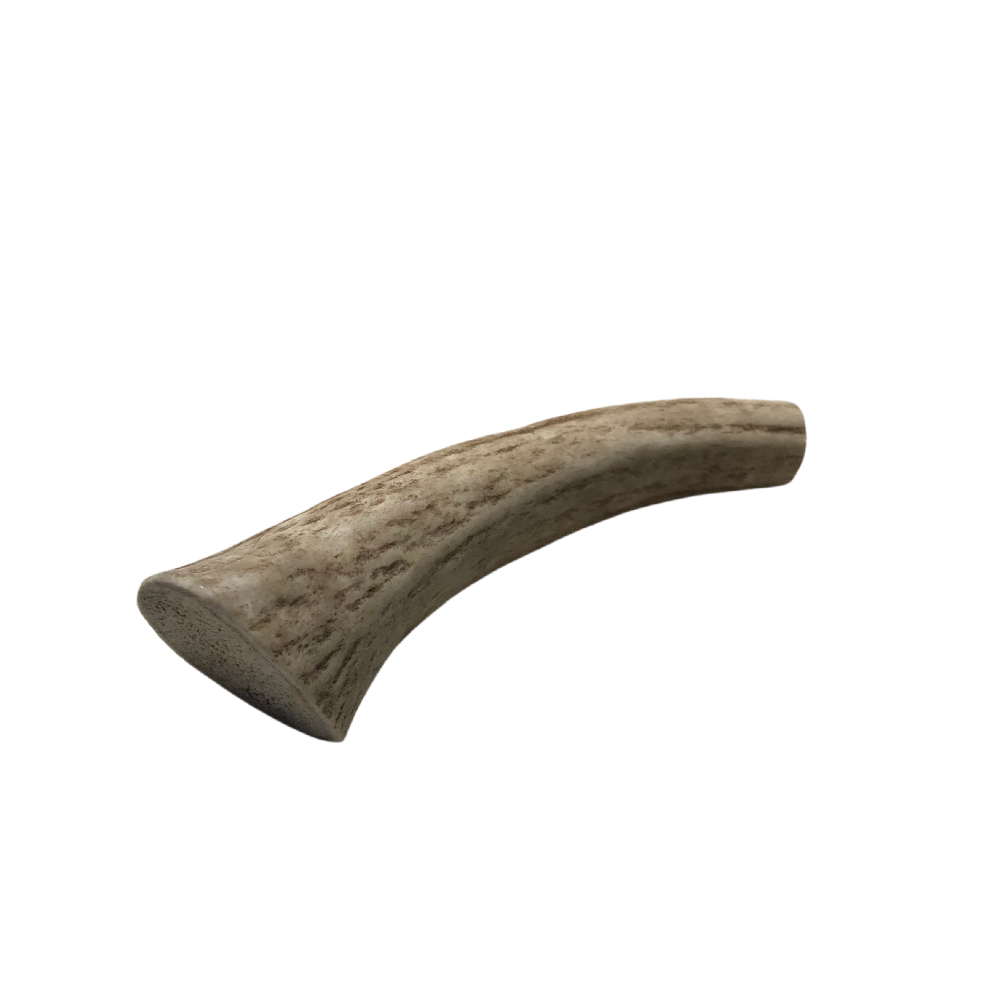 Small whole antler