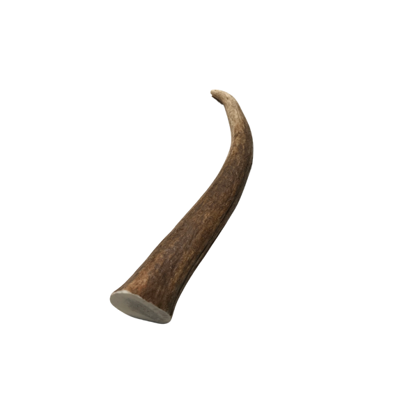 10-antler-champion-dog-products