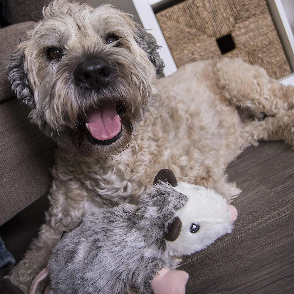 Go Dog Flatz Penelope The Opossum