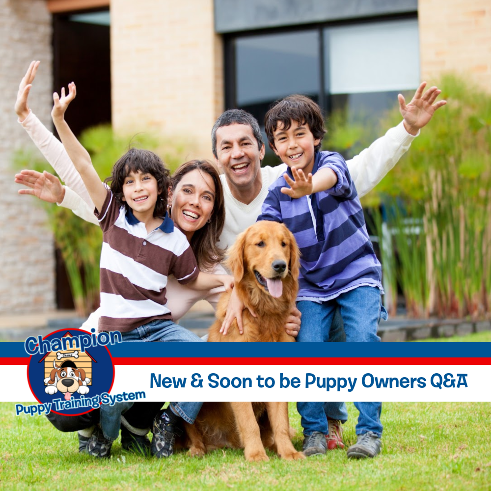 New & Soon to be Puppy Owner Live Q&A Monthly Schedule