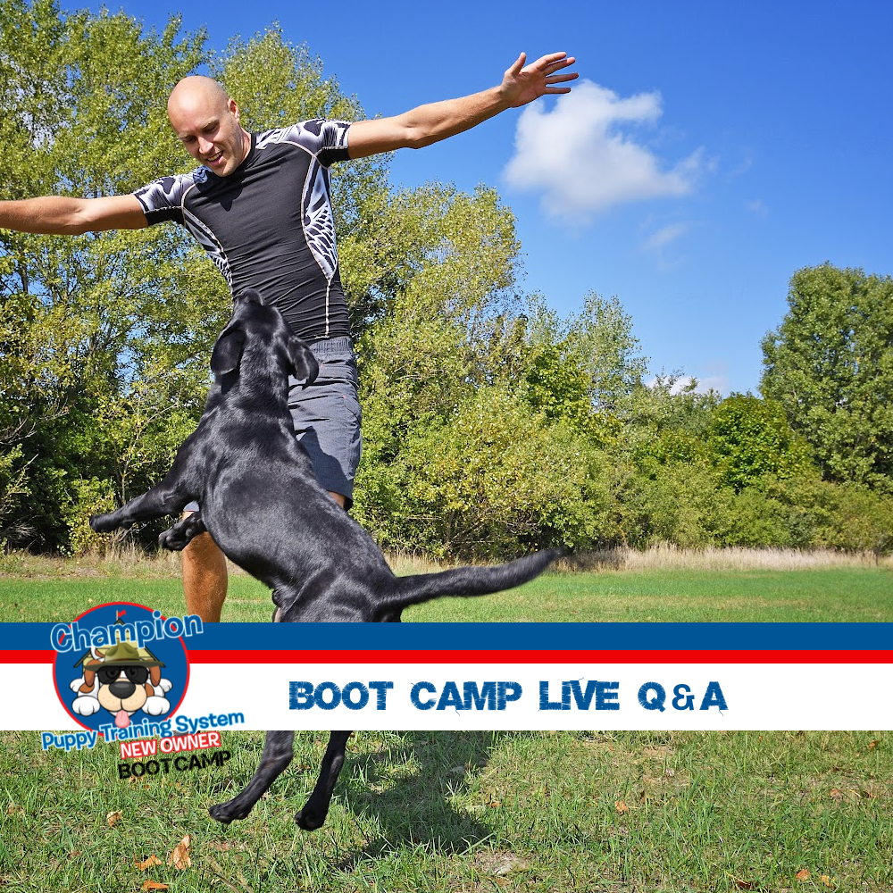 Boot Camp Live Q&A