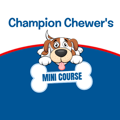 Champion Chewer's - Putting Chewing to Work for You
