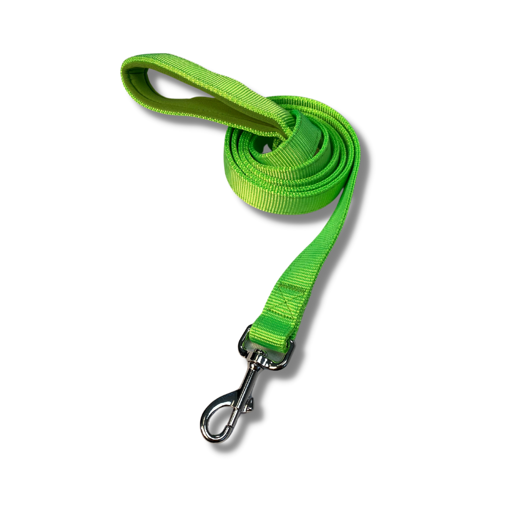 6 ft Padded Leashes