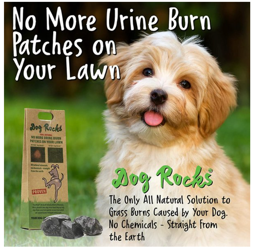 Dog Rocks Champion Dog Products