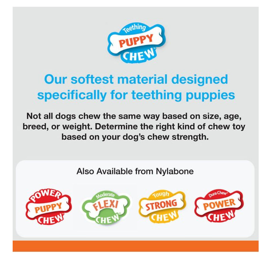 Nylabone Teething Keys Puppy Chew Toy - Bacon Flavor