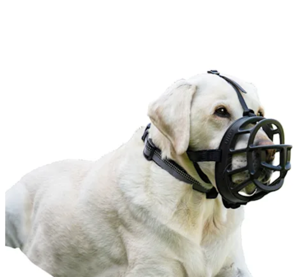 Baskerville Ultra Black Muzzle for Dogs Size 3