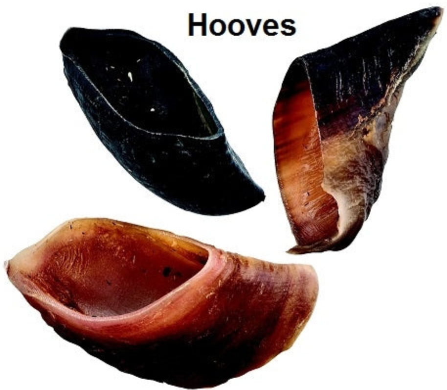 Cow Hooves Dog Chew