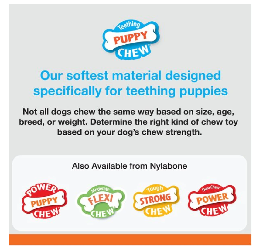 Nylabone Chill & Chew Teething Toy - Peanut Butter Flavor