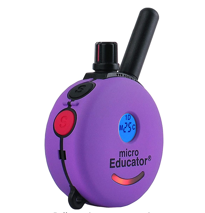 Mini educator sales e collar waterproof