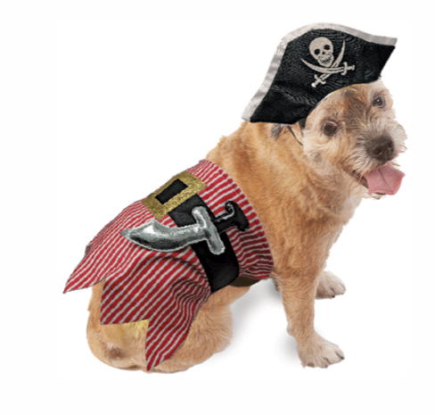 Dog pirate outlet outfit