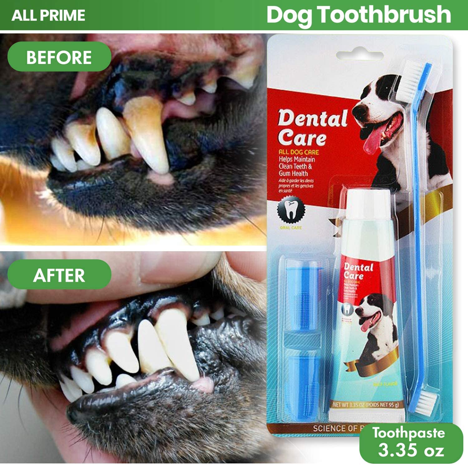 Dog Dental Care Tooth Brushing Kit