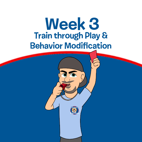 Week 3 - Train through Play and Behavior Modification