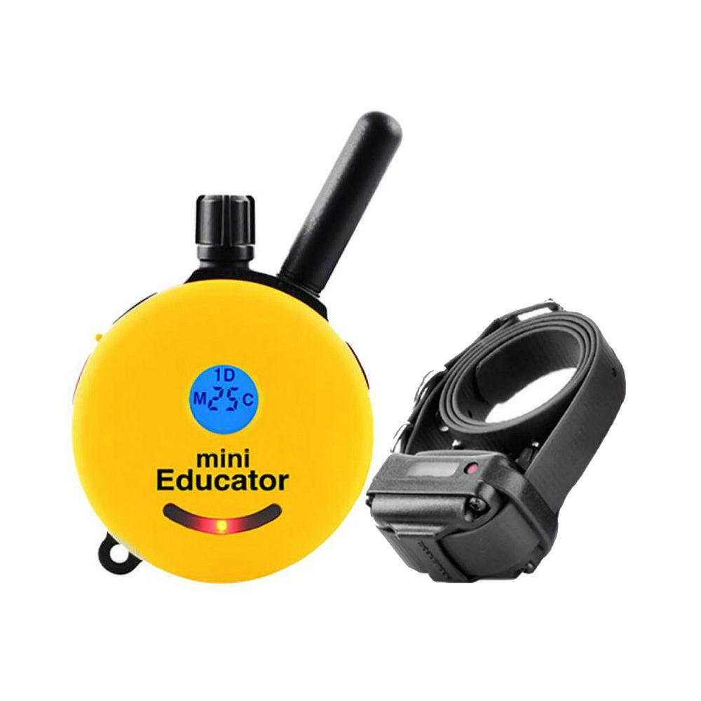 mini educator vibrate to tone Wholesale Mini Invisible Lingerie Vibrating Sex Toys for Women for your  store main image 0