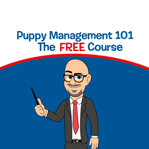 Puppy Management 101