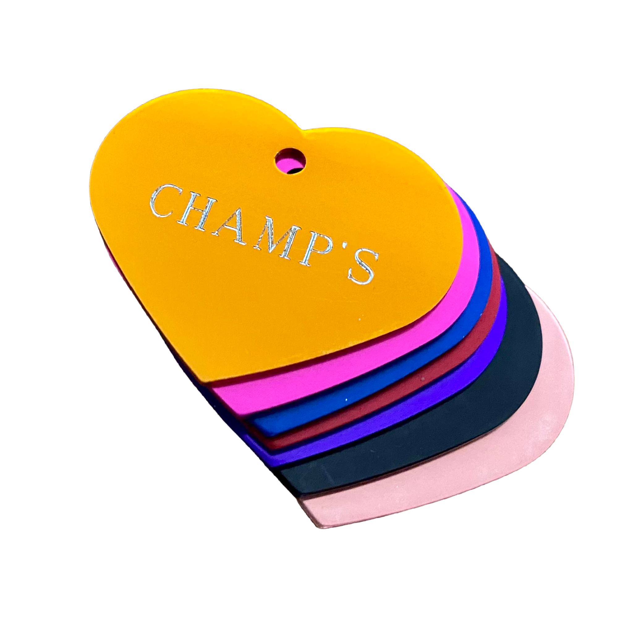 Personalized and Customizable Dog Tags