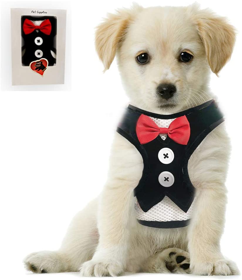 Formal Wear Dog Harness Champion Dog Products - Main Image