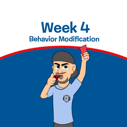 Legacy Week 4 - Behavior Modification (Legacy)